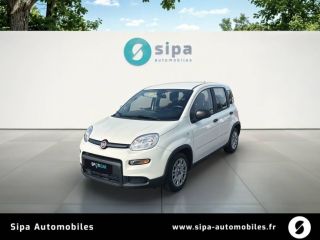31200 : Hyundai TOULOUSE NORD - AUTO NORD - FIAT PANDA  - PANDA III - Blanc Gelato - Boîte manuelle - Essence sans plomb