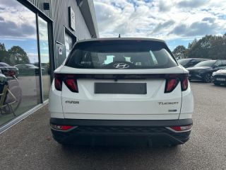 54520 : Hyundai Nancy - Théobald Automobiles - HYUNDAI Tucson - Tucson - Polar White - Traction - Essence/Micro-Hybride